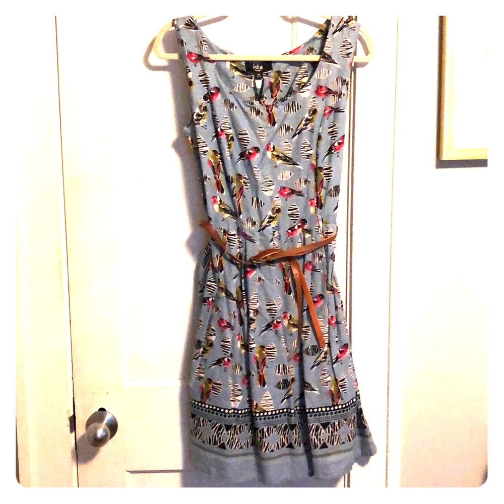 Retro Blue budgie fit and flare dress.